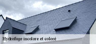 Hydrofuge incolore et coloré  22350
