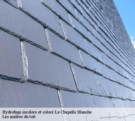Hydrofuge incolore et coloré  22350