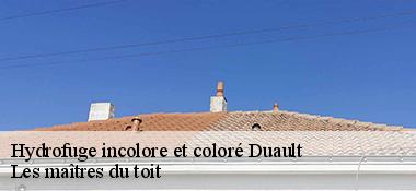 Hydrofuge incolore et coloré  22160
