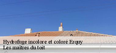 Hydrofuge incolore et coloré  22430