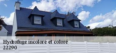 Hydrofuge incolore et coloré 22290