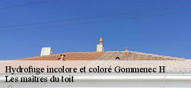Hydrofuge incolore et coloré  22290