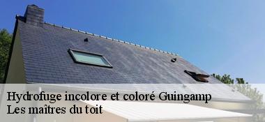Hydrofuge incolore et coloré 22200