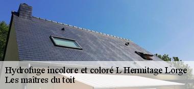 Hydrofuge incolore et coloré 22150