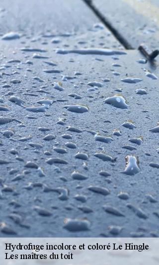 Hydrofuge incolore et coloré  22100