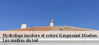 Hydrofuge incolore et coloré  22110