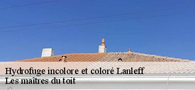 Hydrofuge incolore et coloré 22290