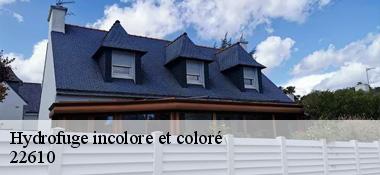Hydrofuge incolore et coloré 22610