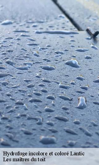 Hydrofuge incolore et coloré 22410