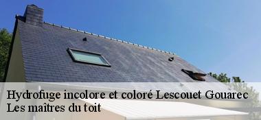 Hydrofuge incolore et coloré 22570