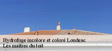 Hydrofuge incolore et coloré  22600