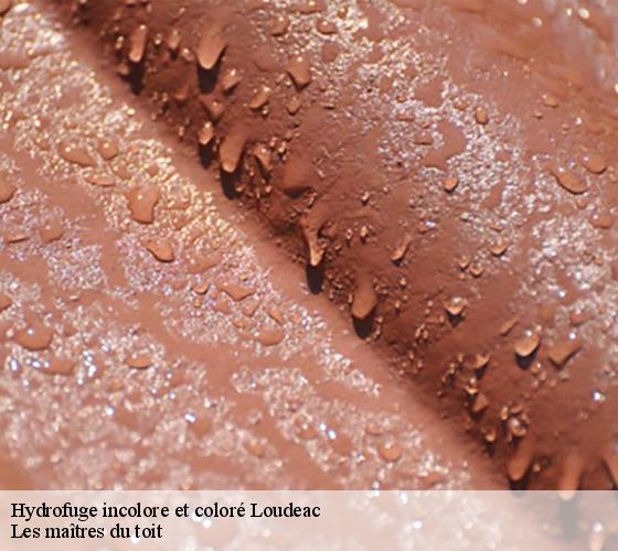 Hydrofuge incolore et coloré  22600