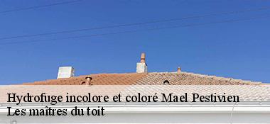 Hydrofuge incolore et coloré 22160