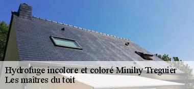 Hydrofuge incolore et coloré  22220