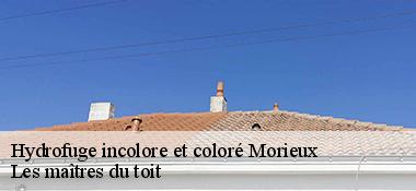 Hydrofuge incolore et coloré  22400