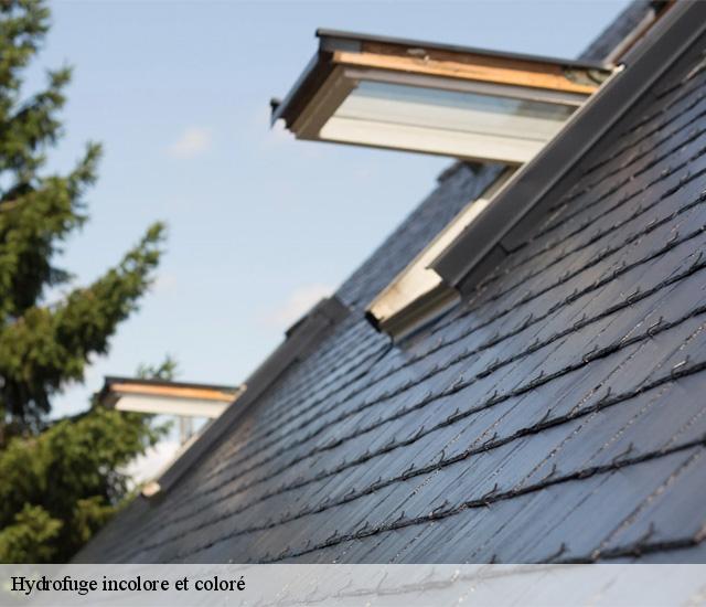 Hydrofuge incolore et coloré 22340