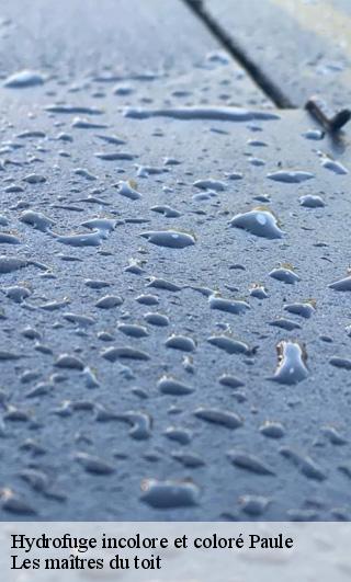 Hydrofuge incolore et coloré  22340