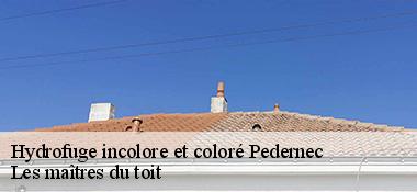 Hydrofuge incolore et coloré  22540