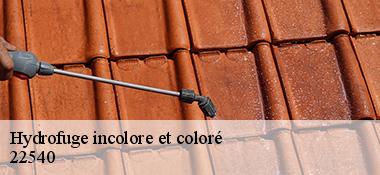 Hydrofuge incolore et coloré  22540