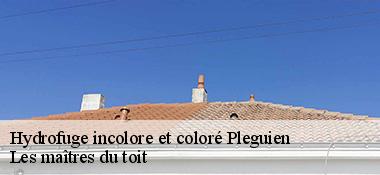 Hydrofuge incolore et coloré  22290