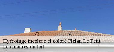Hydrofuge incolore et coloré  22980