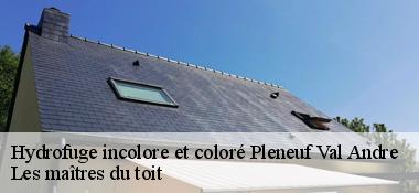 Hydrofuge incolore et coloré  22370