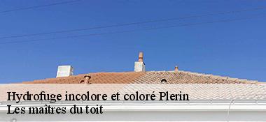 Hydrofuge incolore et coloré  22190