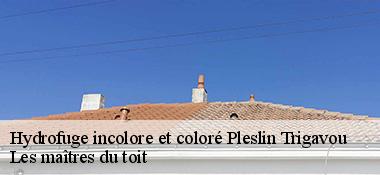 Hydrofuge incolore et coloré  22490