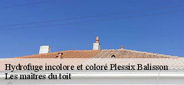 Hydrofuge incolore et coloré  22650