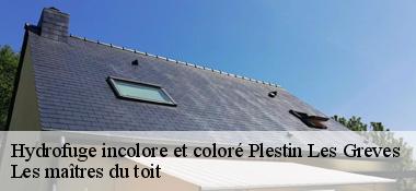 Hydrofuge incolore et coloré  22310