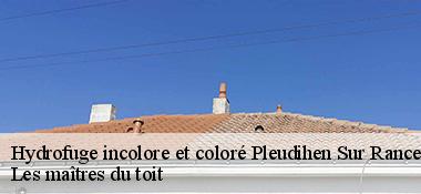 Hydrofuge incolore et coloré  22690