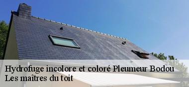 Hydrofuge incolore et coloré  22560