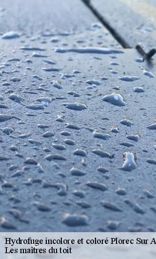 Hydrofuge incolore et coloré  22130