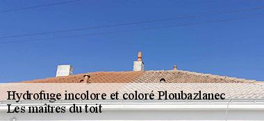 Hydrofuge incolore et coloré  22620