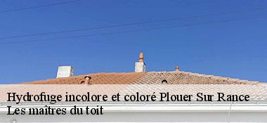 Hydrofuge incolore et coloré 22490