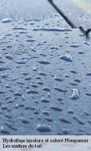 Hydrofuge incolore et coloré 22810