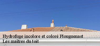 Hydrofuge incolore et coloré  22150