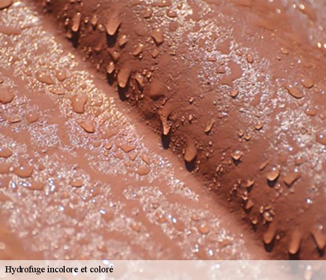 Hydrofuge incolore et coloré  22110
