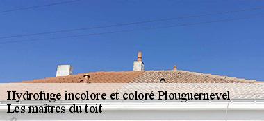 Hydrofuge incolore et coloré  22110
