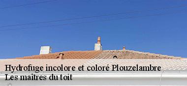 Hydrofuge incolore et coloré  22420