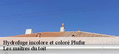 Hydrofuge incolore et coloré  22310