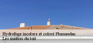 Hydrofuge incolore et coloré  22350