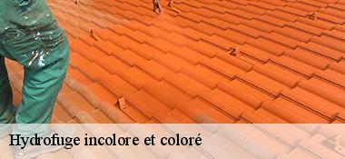 Hydrofuge incolore et coloré  22350