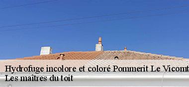 Hydrofuge incolore et coloré 22200