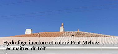 Hydrofuge incolore et coloré 22390