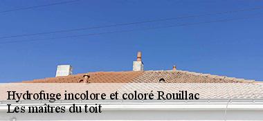 Hydrofuge incolore et coloré 22250