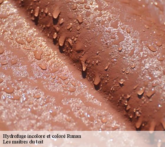 Hydrofuge incolore et coloré  22260
