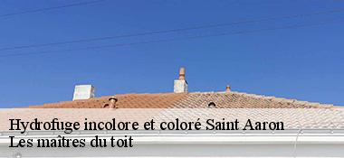 Hydrofuge incolore et coloré  22400