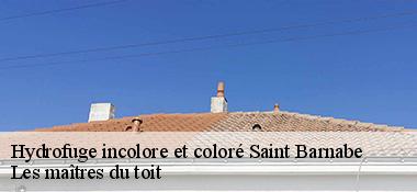 Hydrofuge incolore et coloré  22600