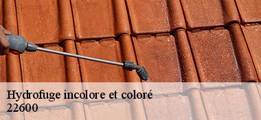 Hydrofuge incolore et coloré  22600